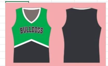 Picture of Cheer Top - Main